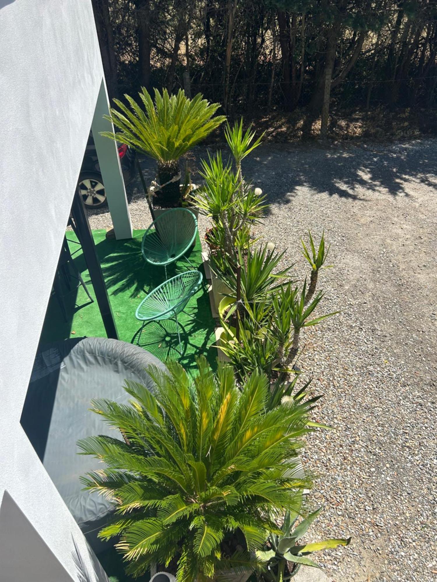 Appart-One Terrasse Jacuzzi Parking Carcassonne Esterno foto